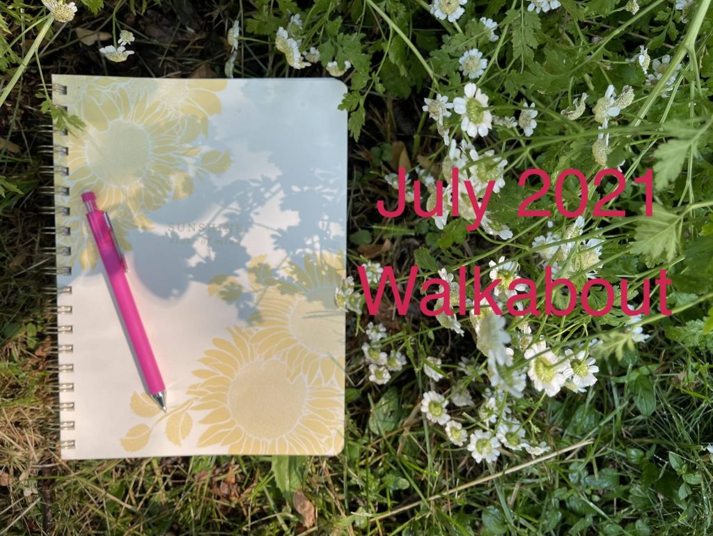 July 2021 Walkabout