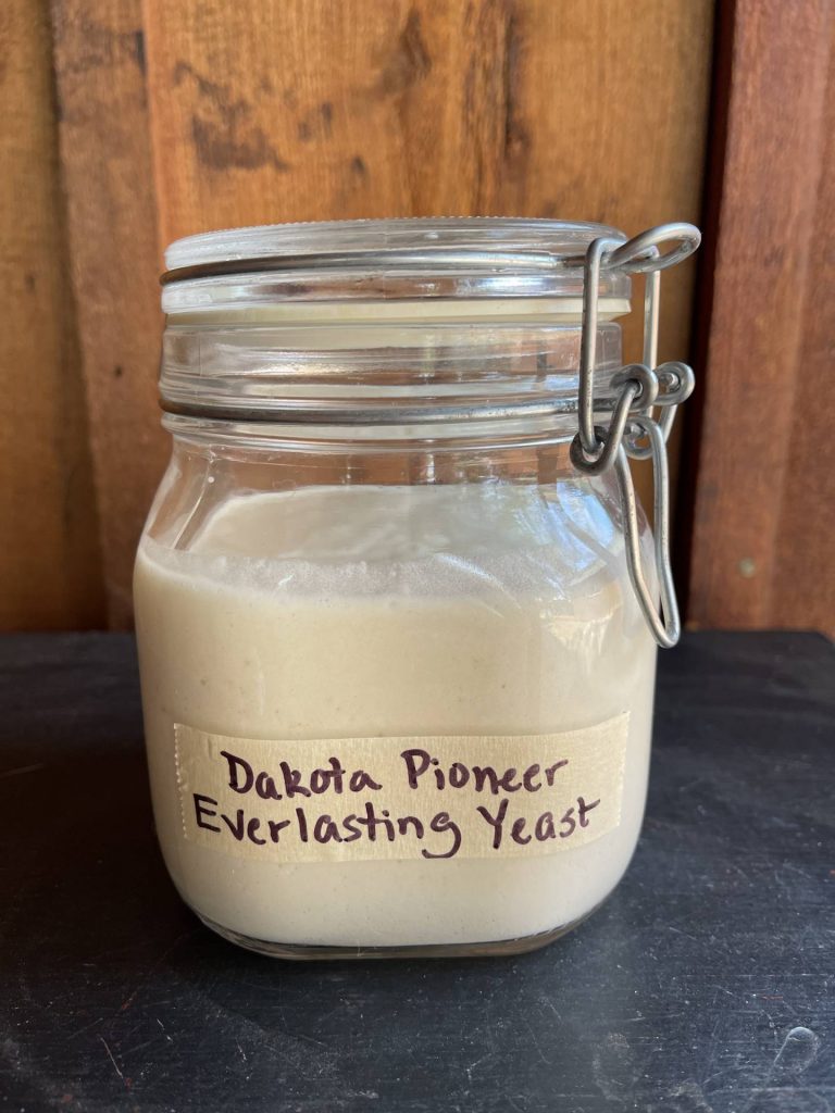 Dakota Pioneer Everlasting Yeast