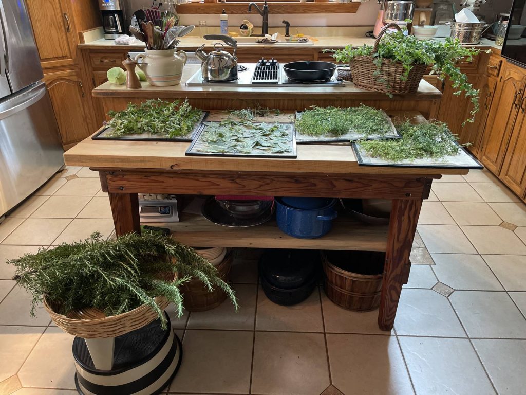 processing culinary herbs