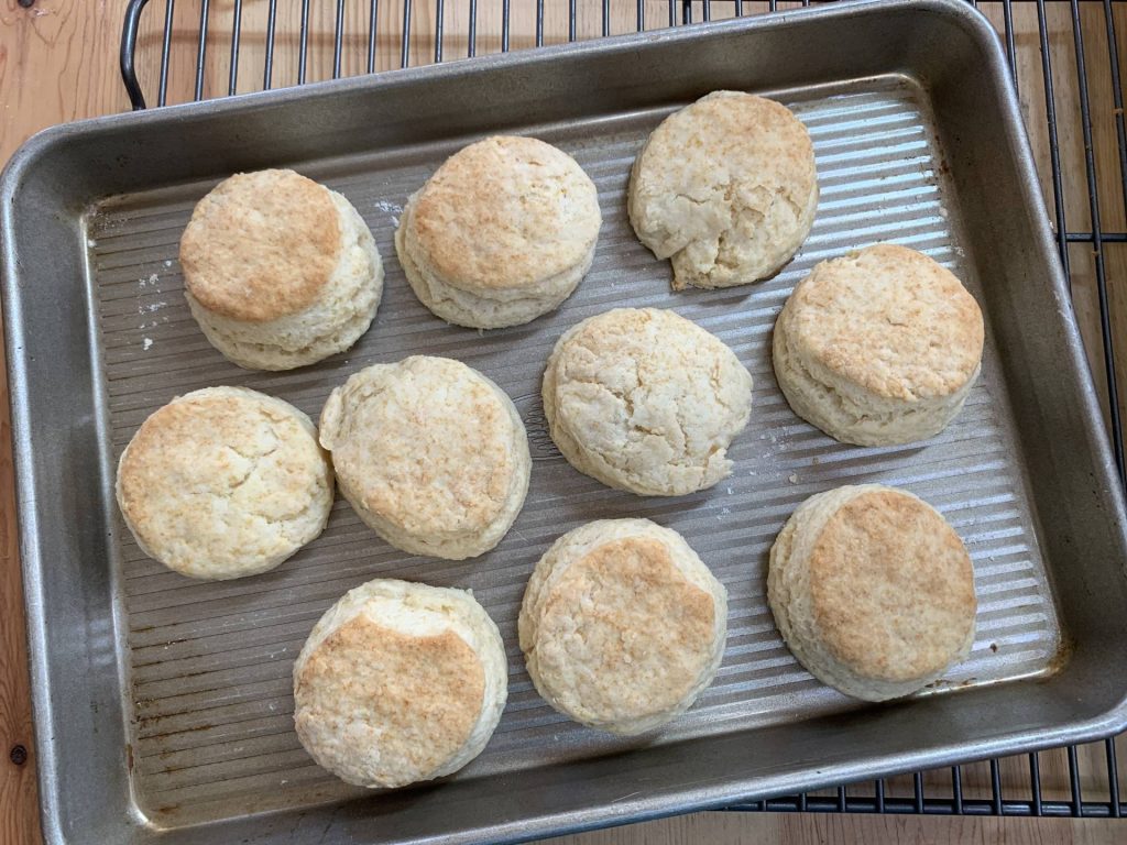 Cream Biscuits Cream Scones