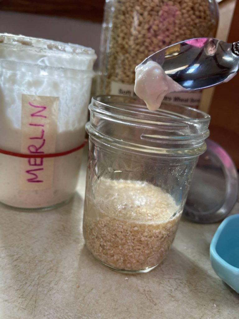 Add a dab of sourdough starter