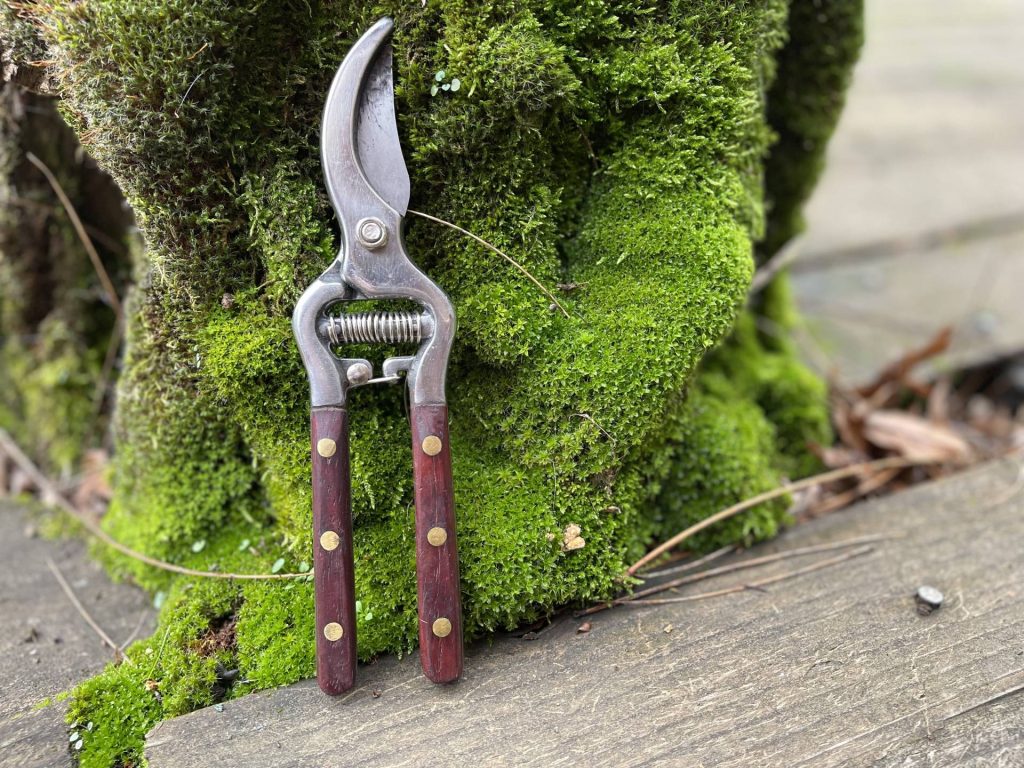 Thai Kitchen Garden Shears