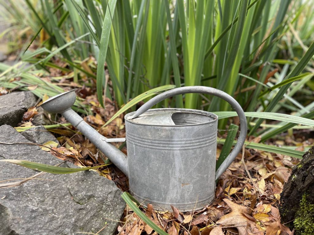 Old School Watering Can