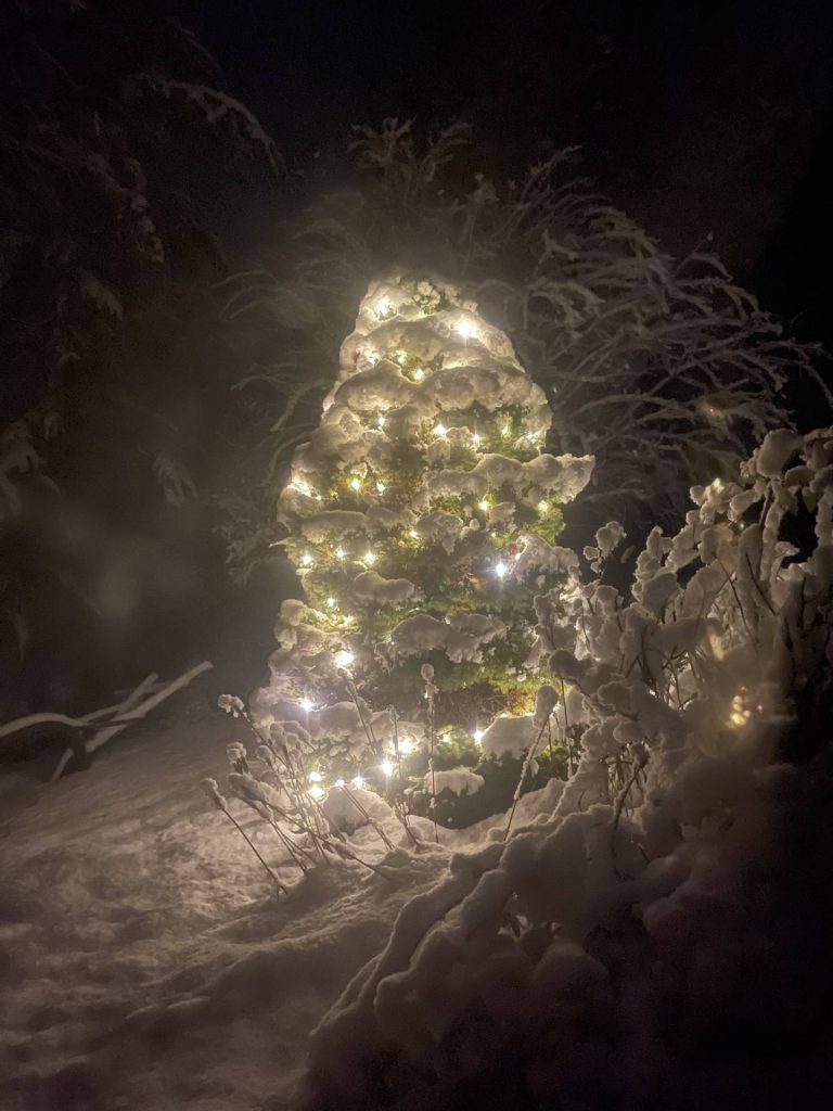A natural Christmas tree
