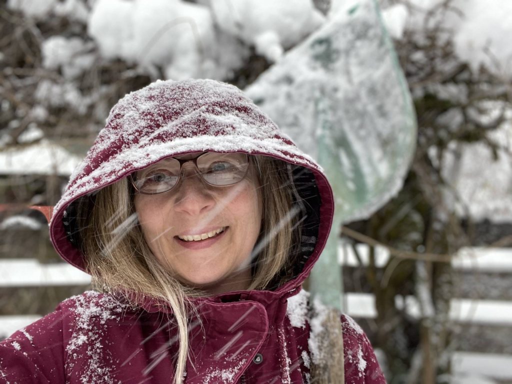 Icicles and snow for New Year