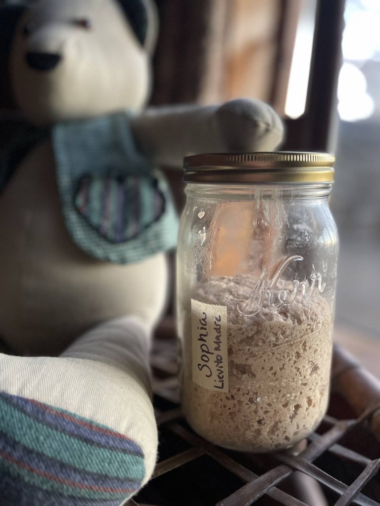 Sophia lievito madre whole wheat