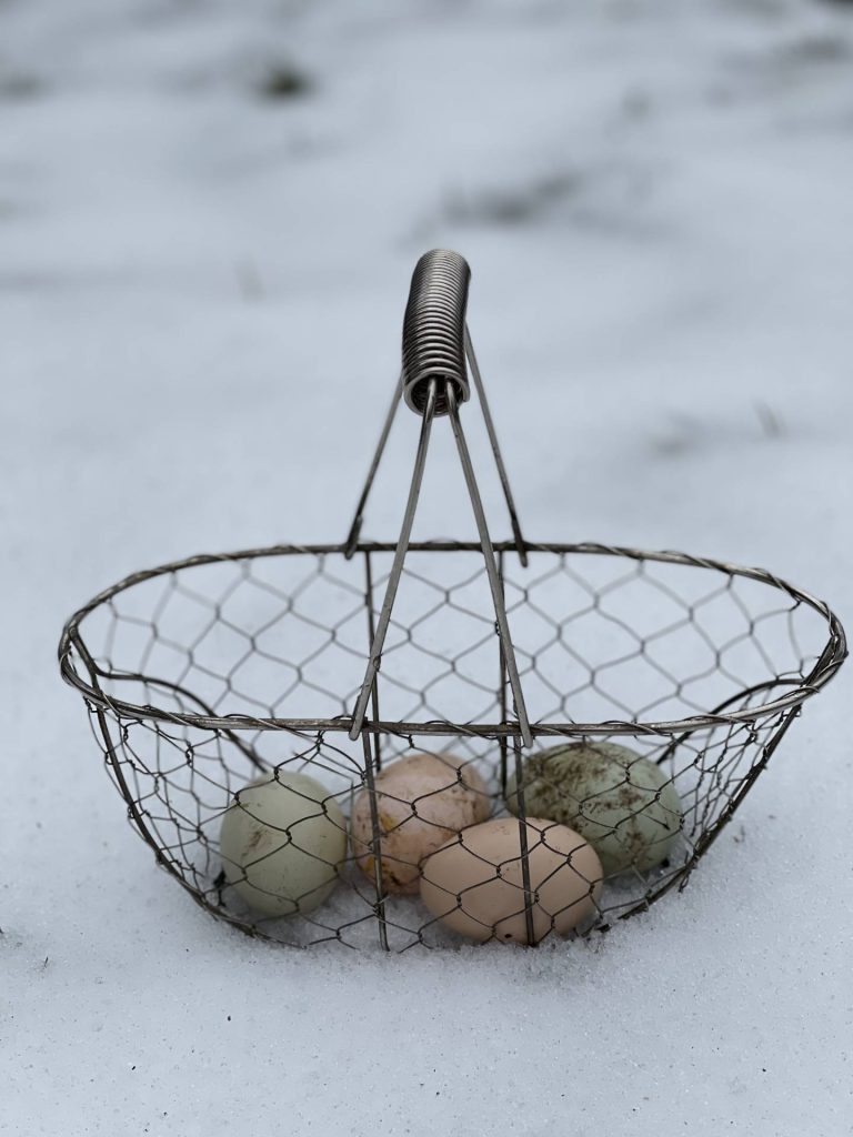 eggs in snow
