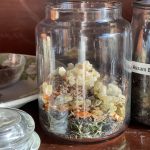 Enchanted Forest Chai Blend