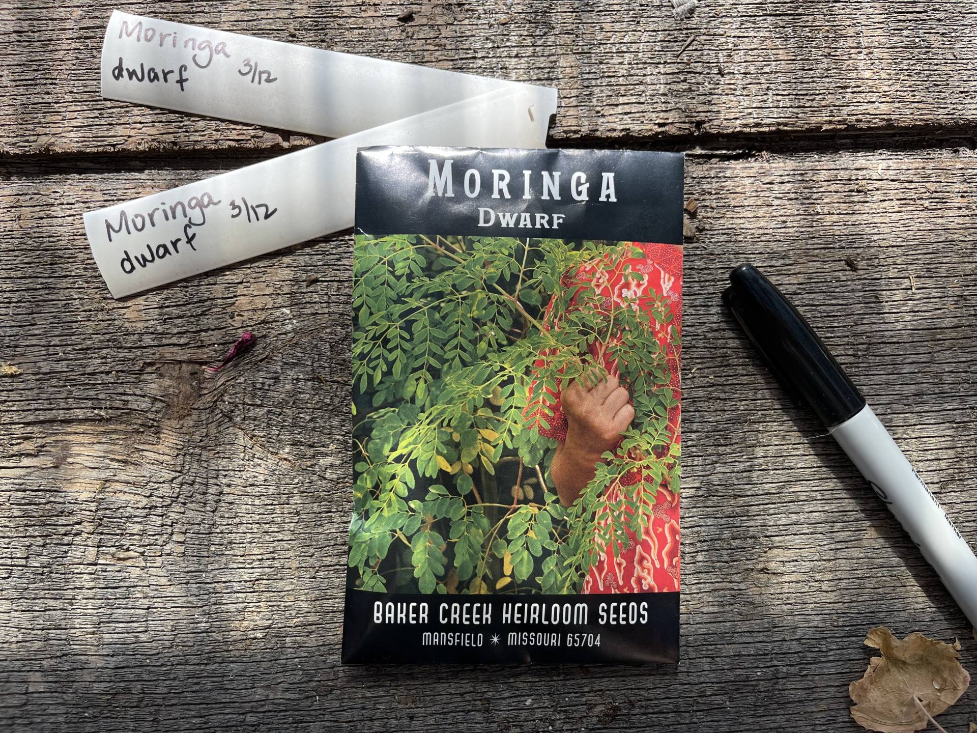 Moringa seed packet