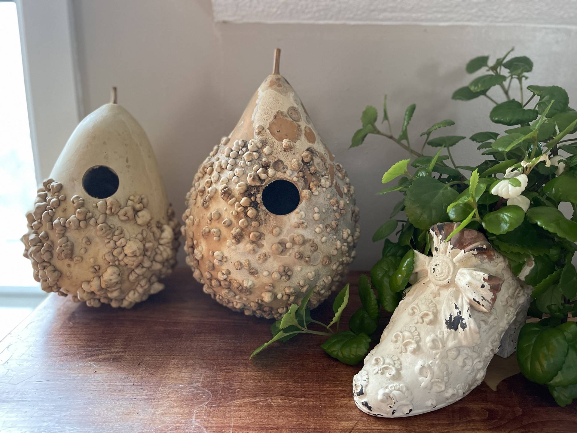 Mayo Bule gourd birdhouses