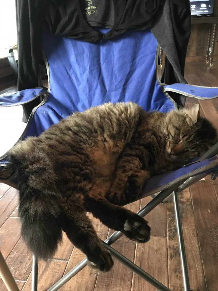 Camp chair Toby