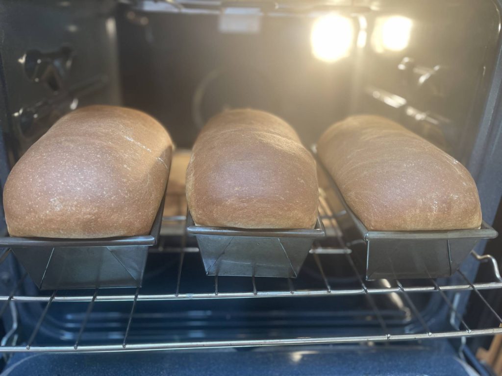 Old Fashioned Buttermilk Bread in the oven