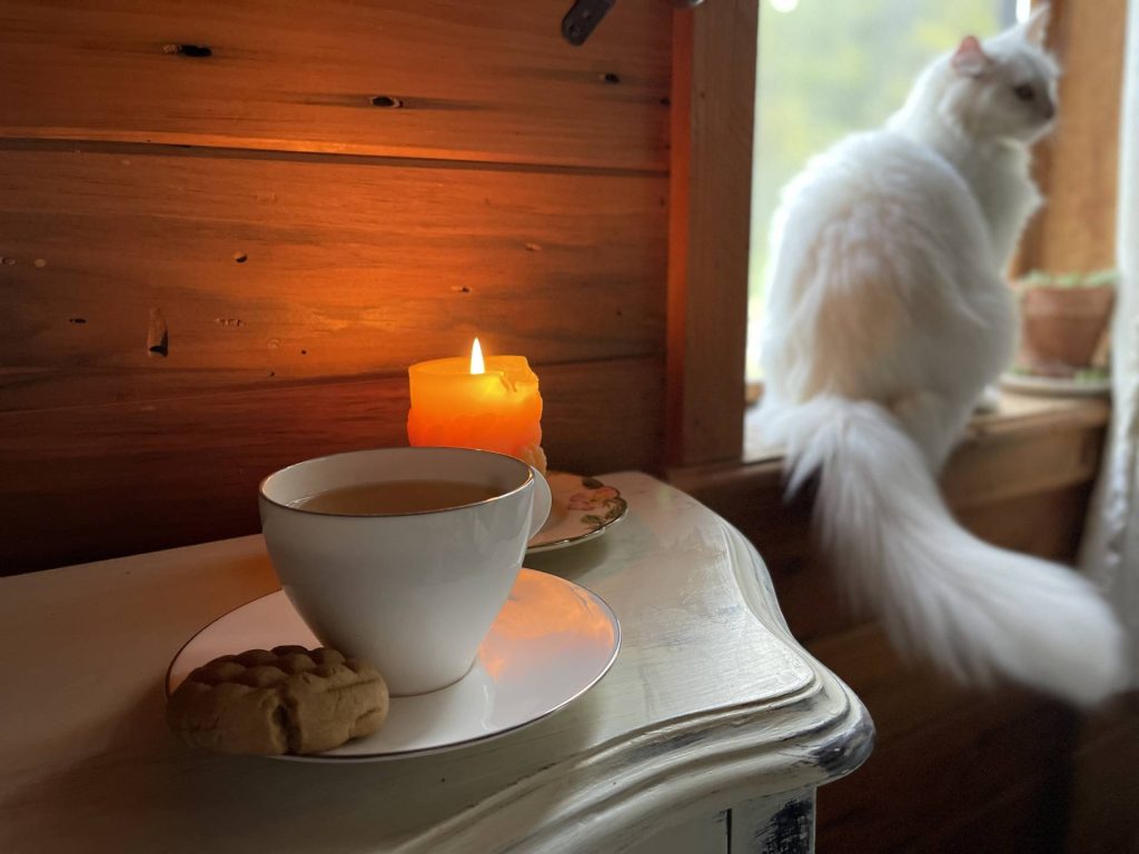 Morning tea with Pearl and candle