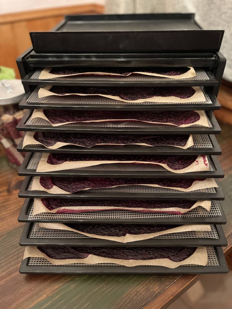 full batch of fruit leather in Excalibur dehydrator