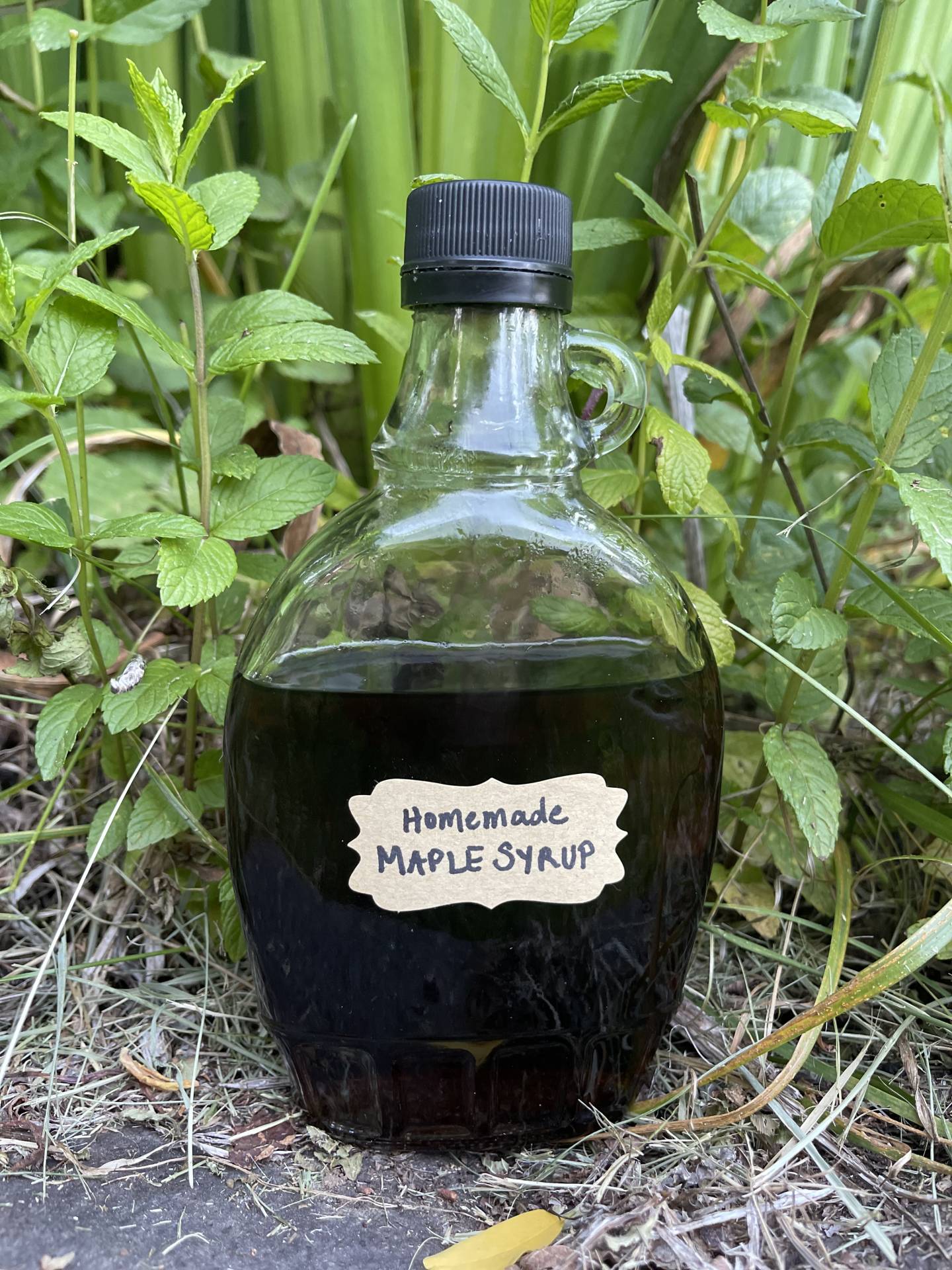 Maple Vanilla Syrup