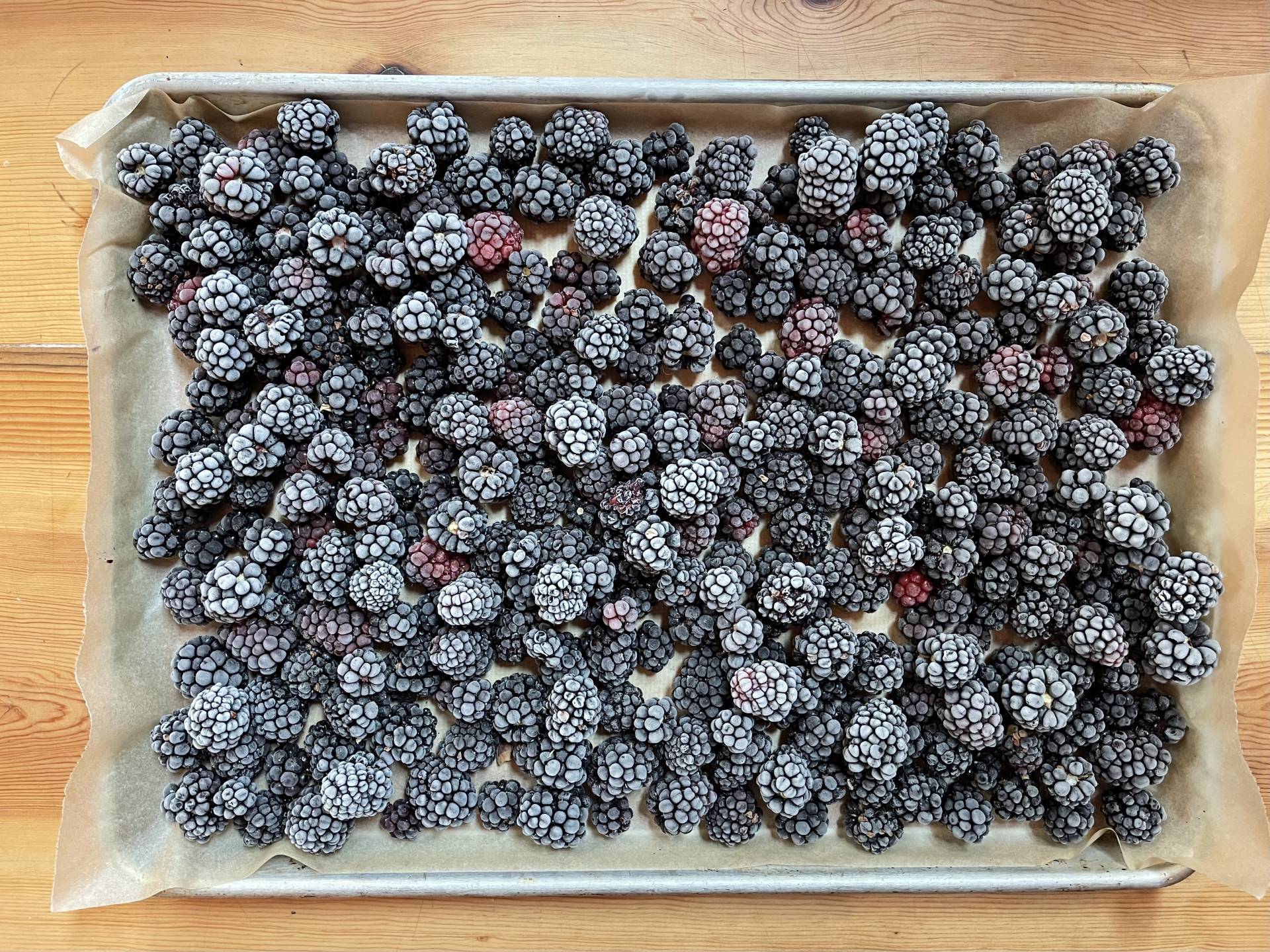 tray frozen blackberries