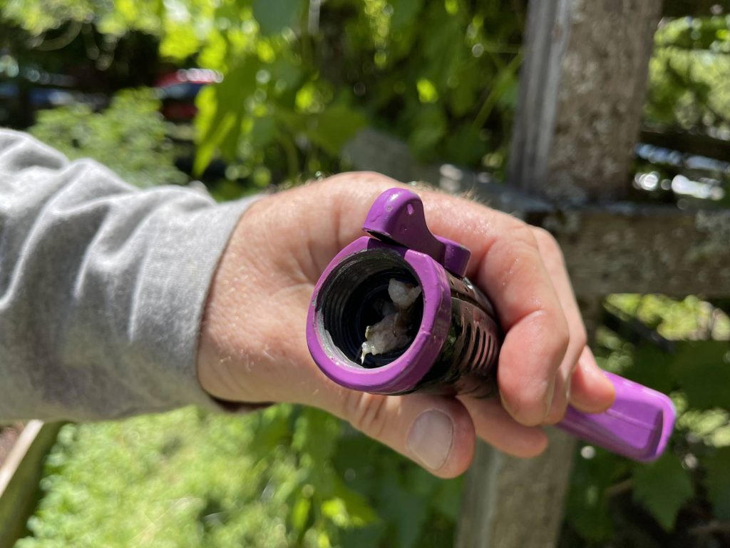 fish in the sprinkler