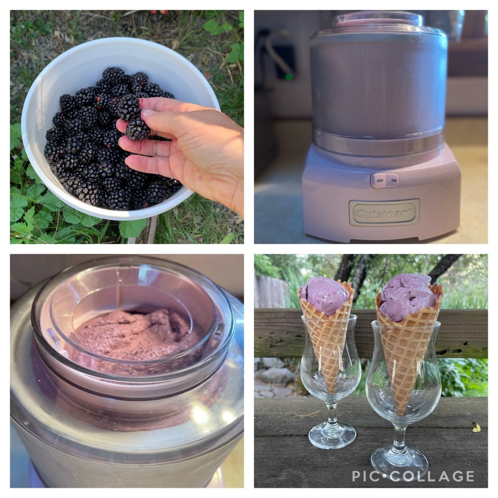 eating through the freezer