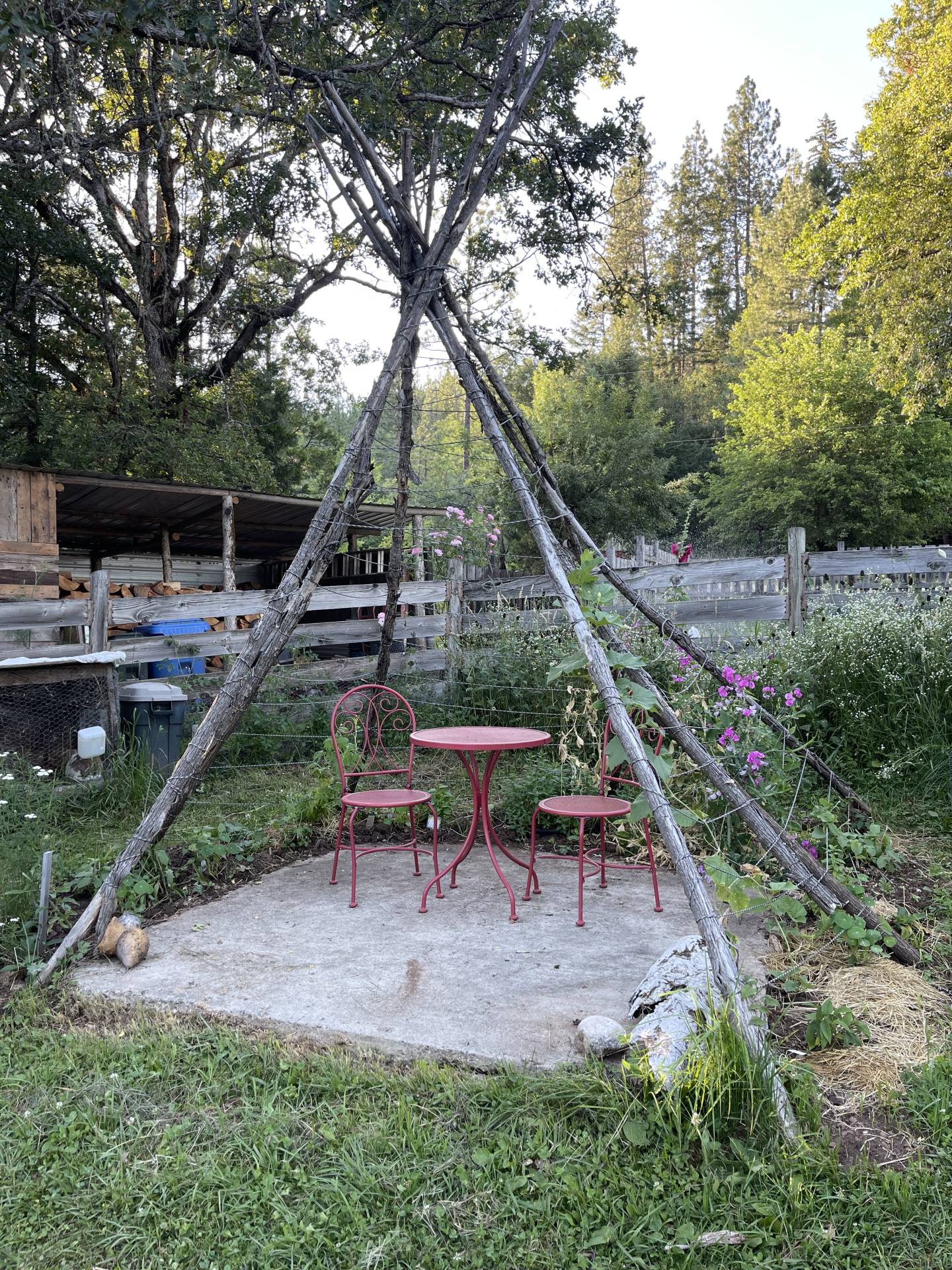 garden teepee
