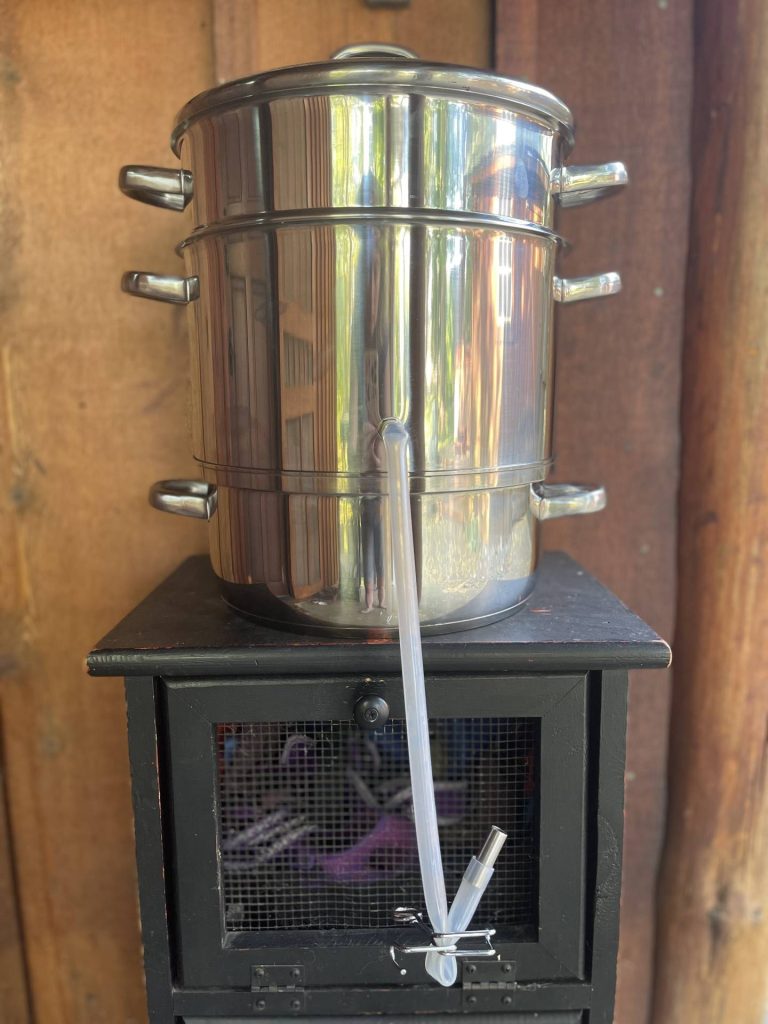 Back to Basics Steam Juicer