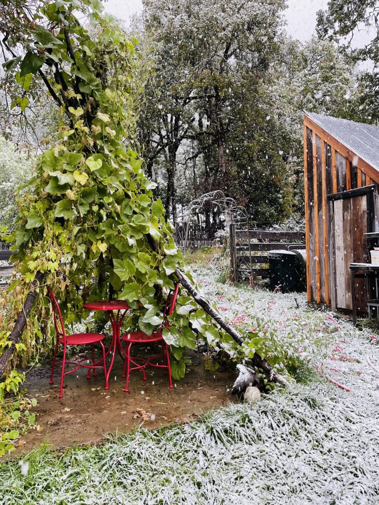snow on the garden teepee