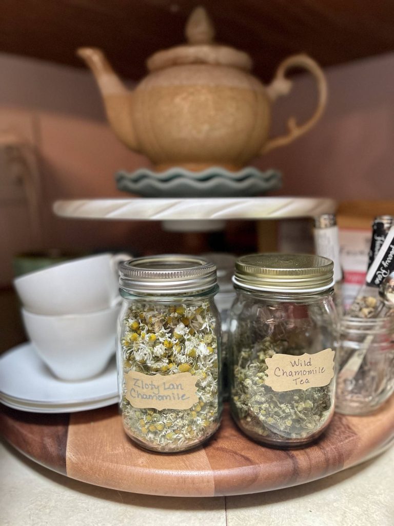 Two kinds of chamomile in the tea station