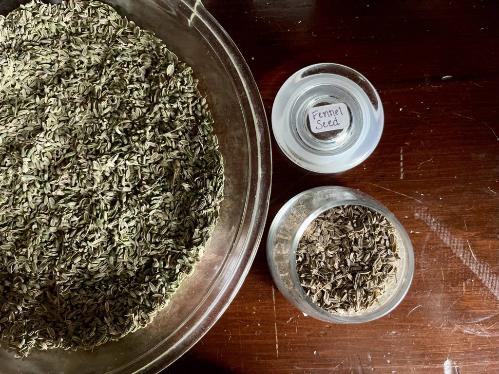 Homegrown fennel seeds