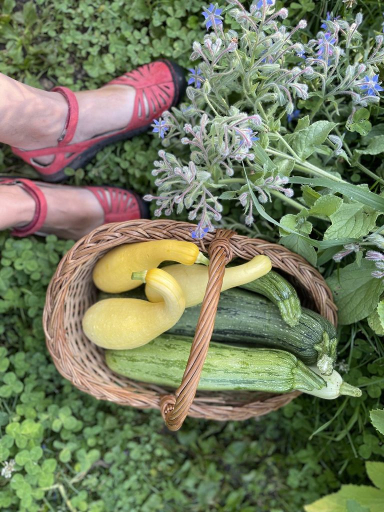 summer squash with a side of Jamba