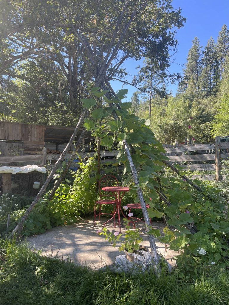 garden teepee