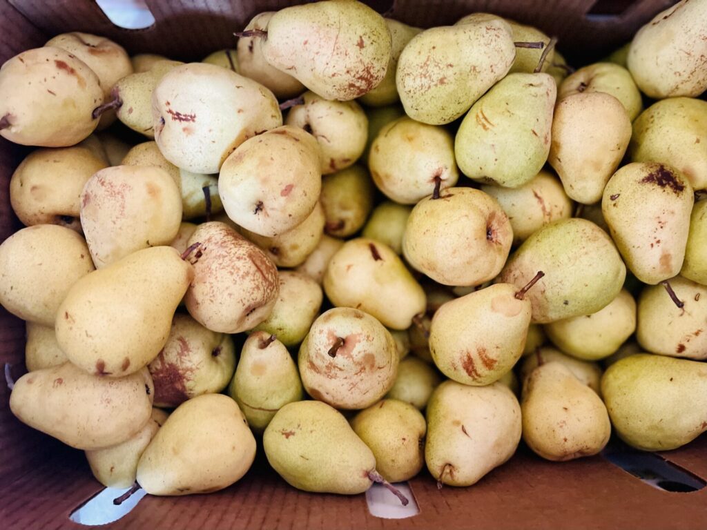Paragon pears