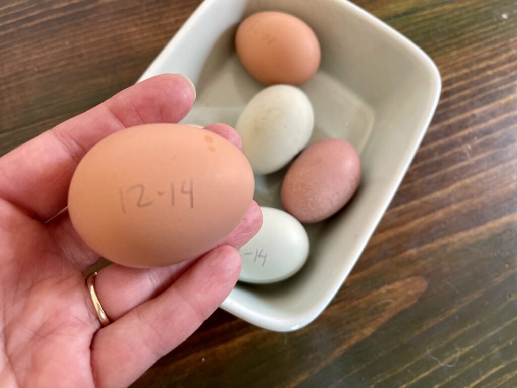 Dated hard cooked eggs