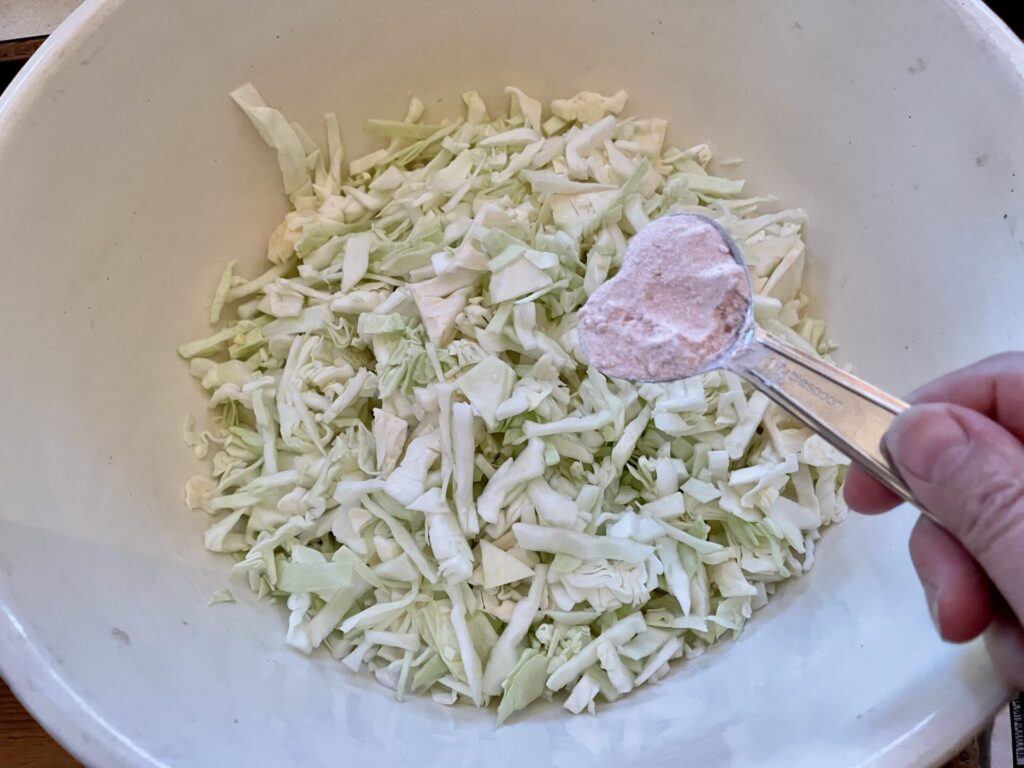 sliced cabbage