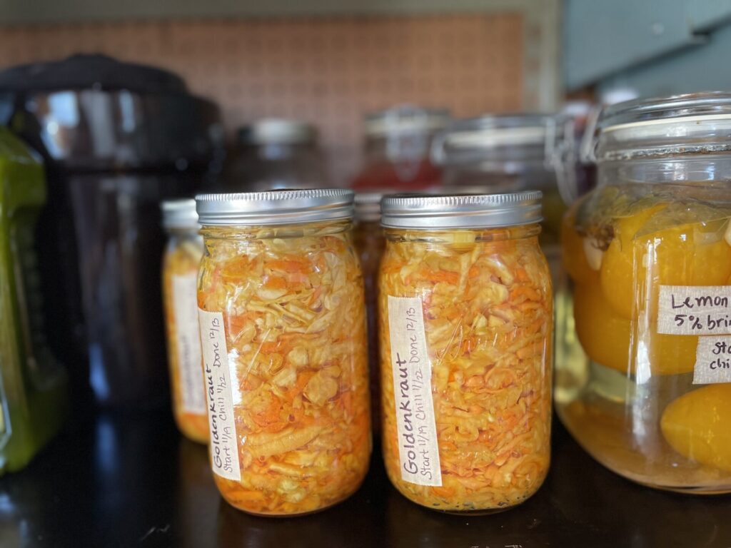 cool storage of goldenkraut