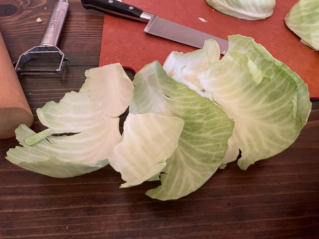 outer cabbage leaves
