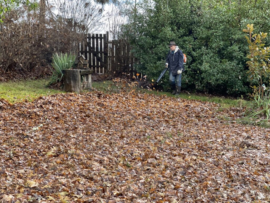 Samuel blowing leaves