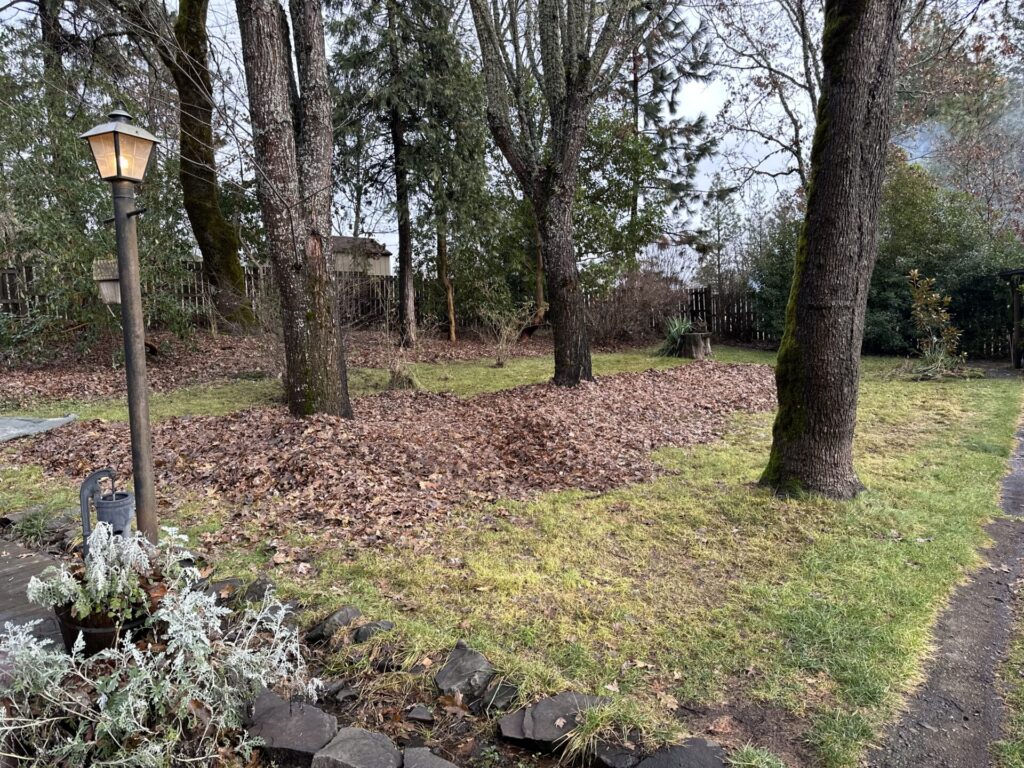 Leaves blown in berms