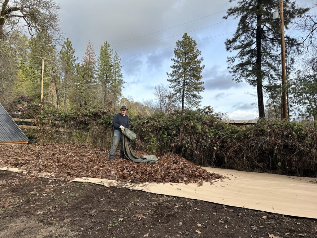 Adding leaves to paper