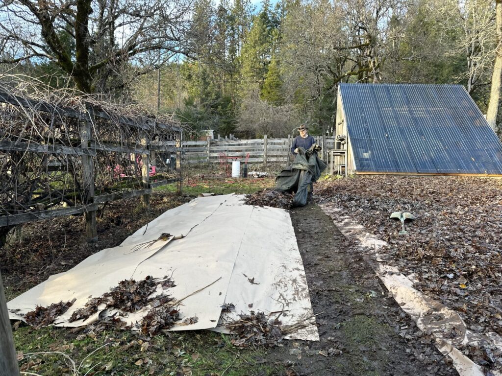 progress with paper and leaves