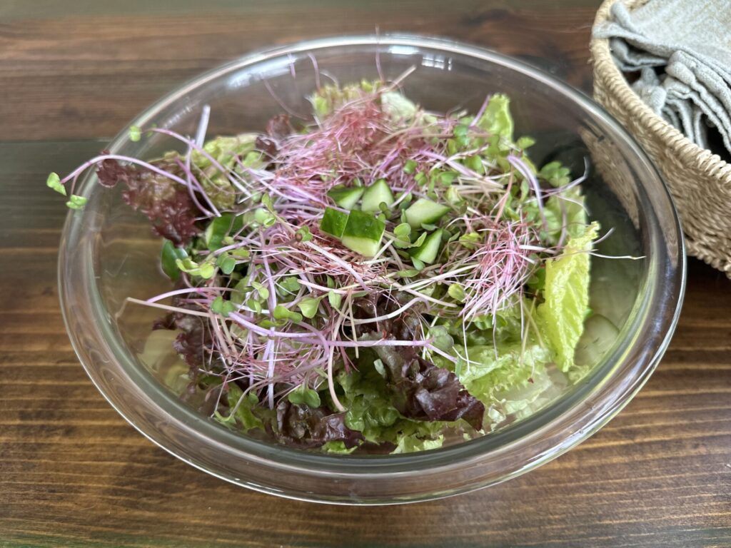 Homegrown salad