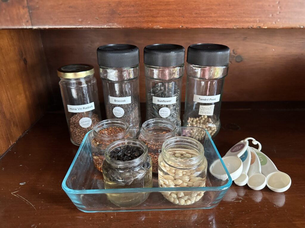 Seeds for indoor salad garden