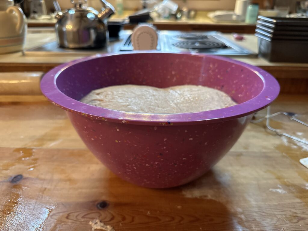 Dough rising in Zak bowl