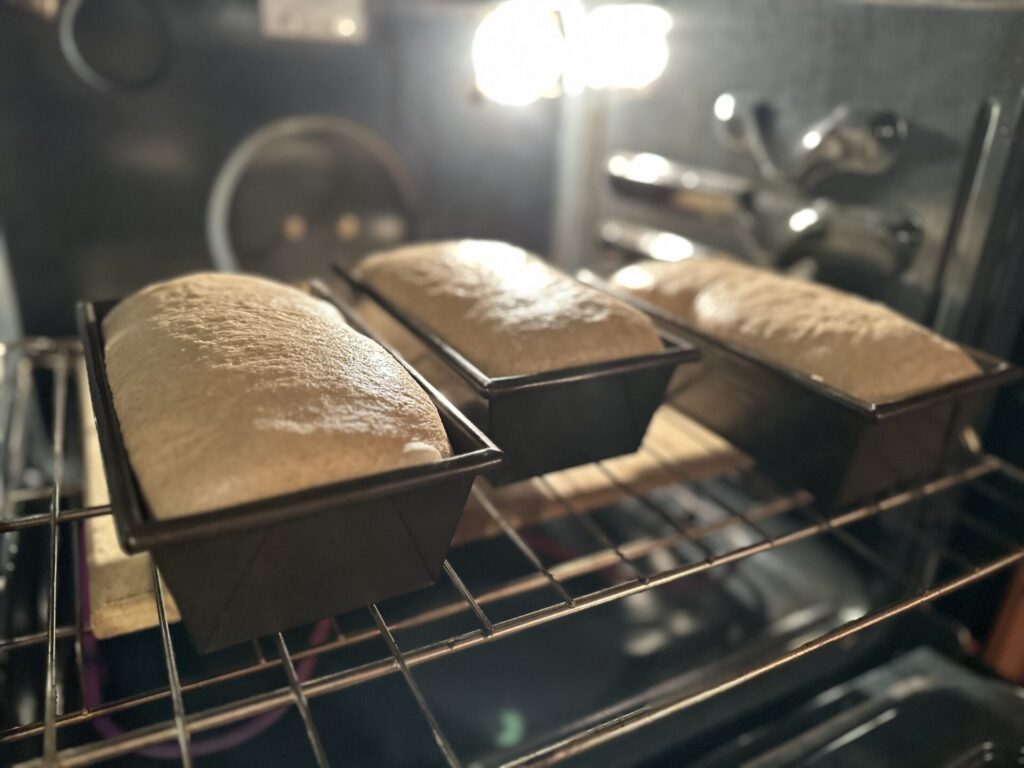 Risen loaves 