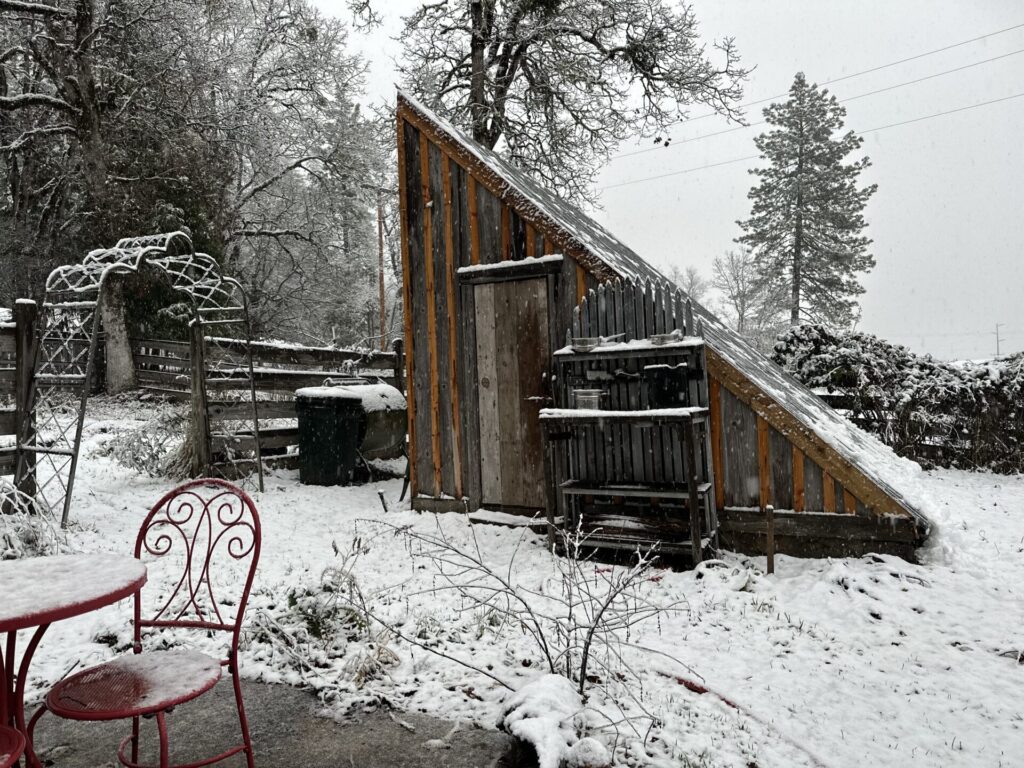 Tender plants are snug in the greenhouse