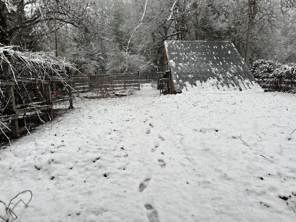 Winter garden sleeps