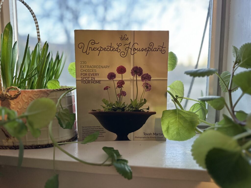The Unexpected Houseplant