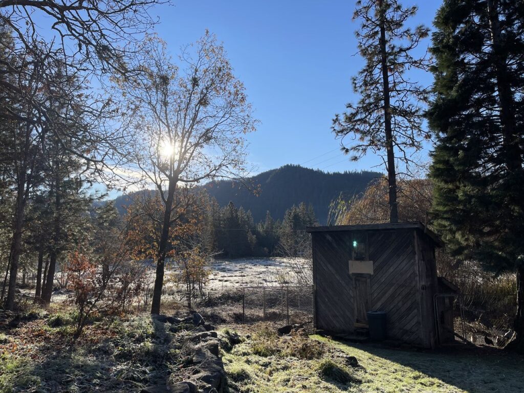 henhouse in February