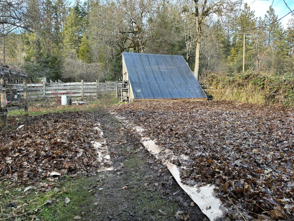 View of garden and greenhouse