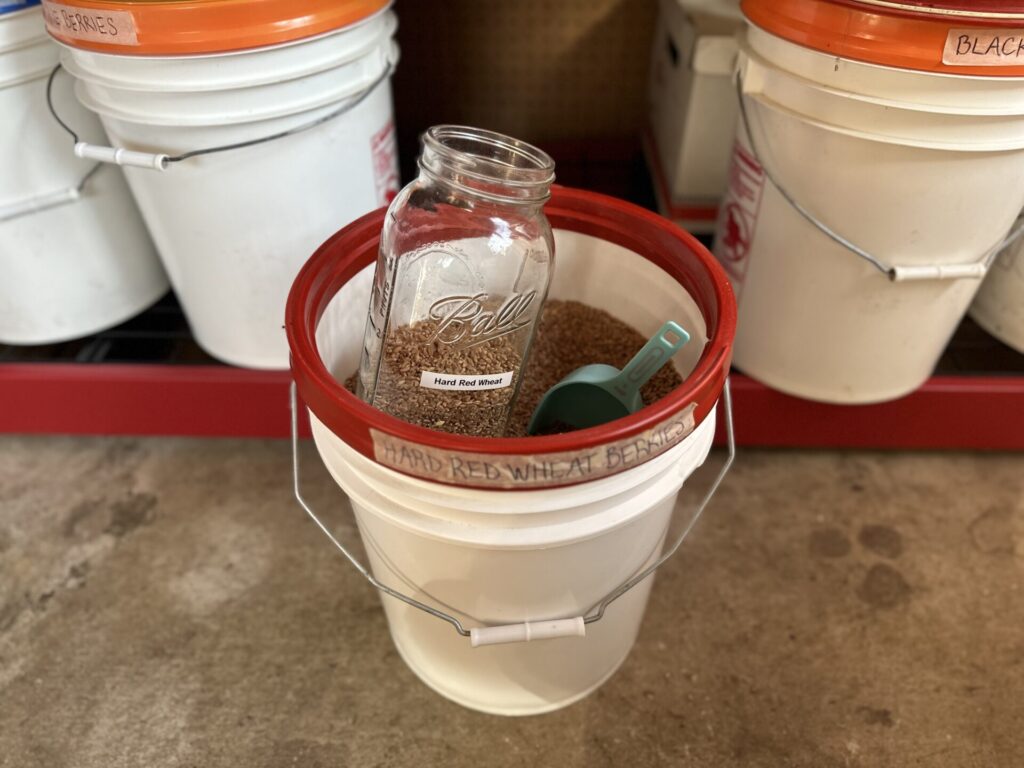 5 gal bucket of wheat