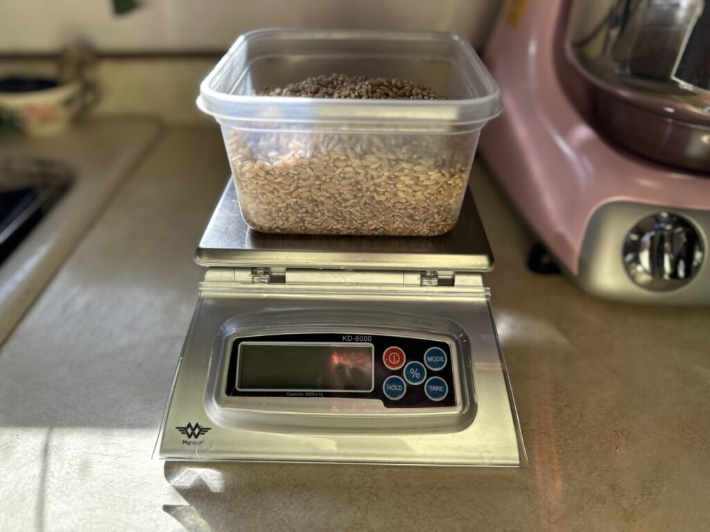 Weighing wheat berries