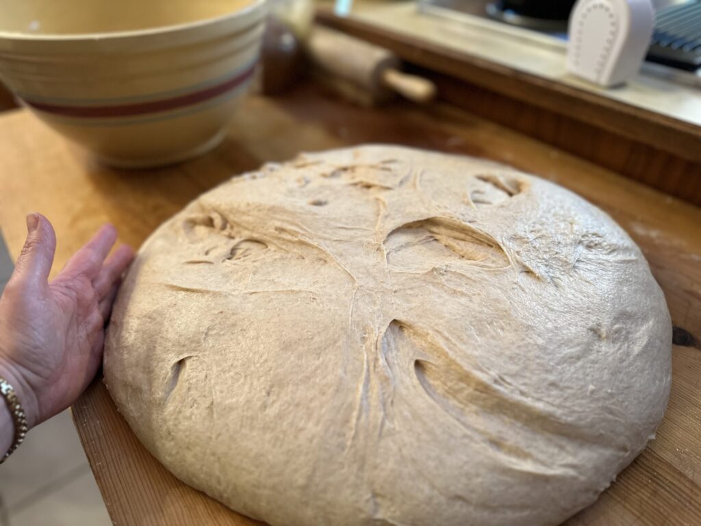 Risen dough 